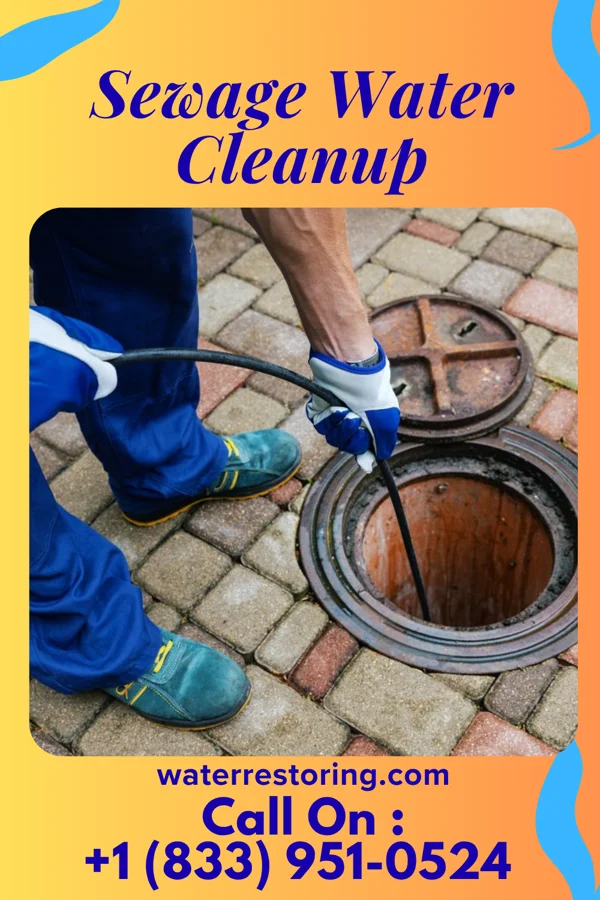 Sewage Water Cleanup in Arlington, NE